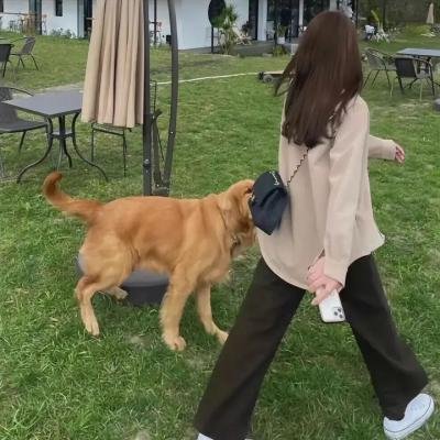 情欲出走的女人